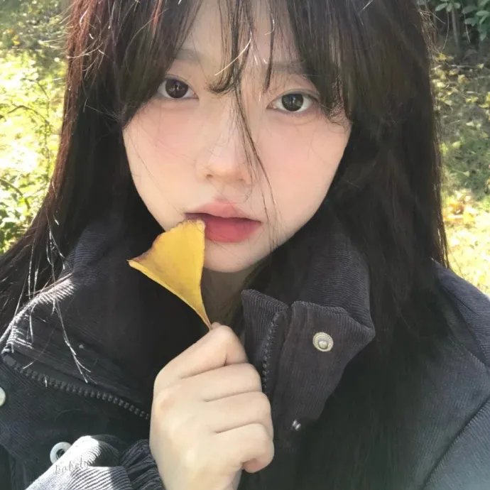 我们曾经爱过的一切