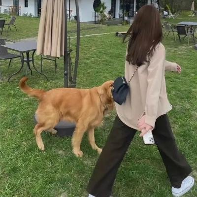 爱有明天粤语